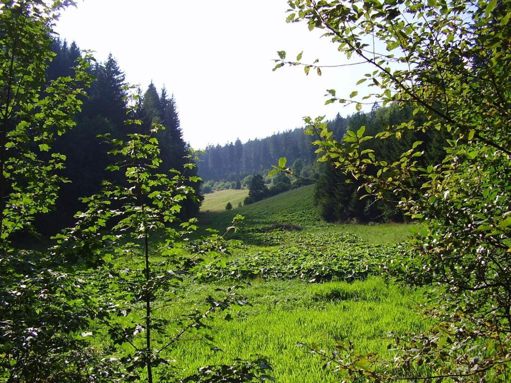 Haus Kesper-Brunen Hotel Willingen  Eksteriør billede